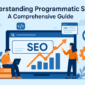 Programmatic SEO Guide